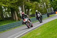 cadwell-no-limits-trackday;cadwell-park;cadwell-park-photographs;cadwell-trackday-photographs;enduro-digital-images;event-digital-images;eventdigitalimages;no-limits-trackdays;peter-wileman-photography;racing-digital-images;trackday-digital-images;trackday-photos